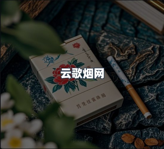 关于云歌烟网